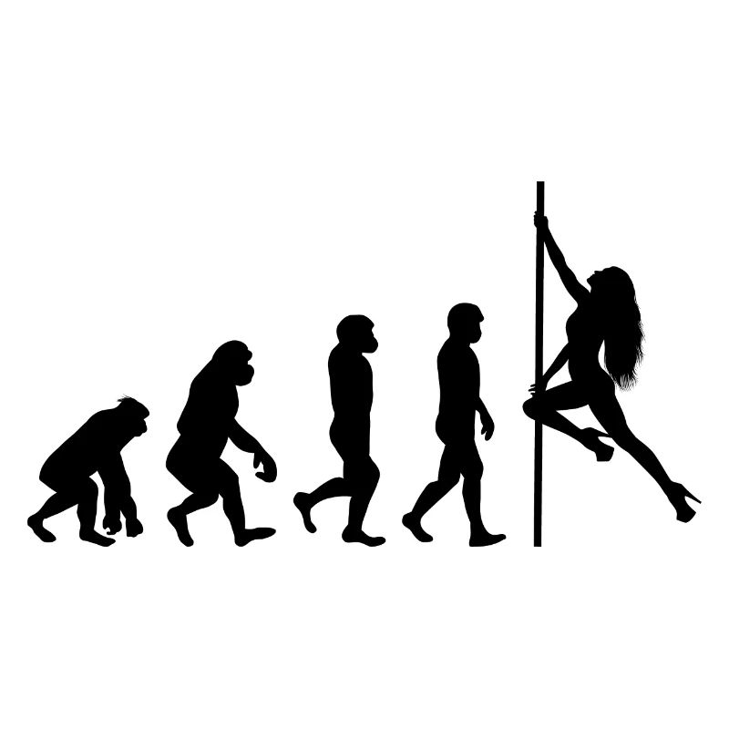Pole Sport Dance Evolution Dancer Acrobatics