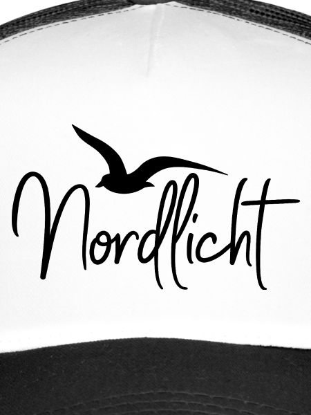 Nordlicht mit Möwe