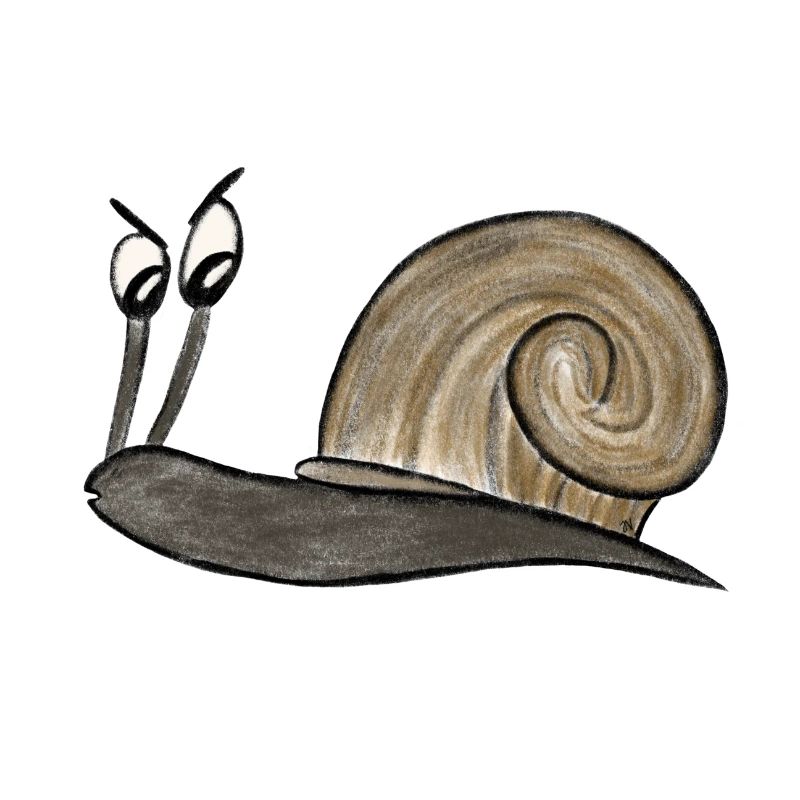 Skeptical snail