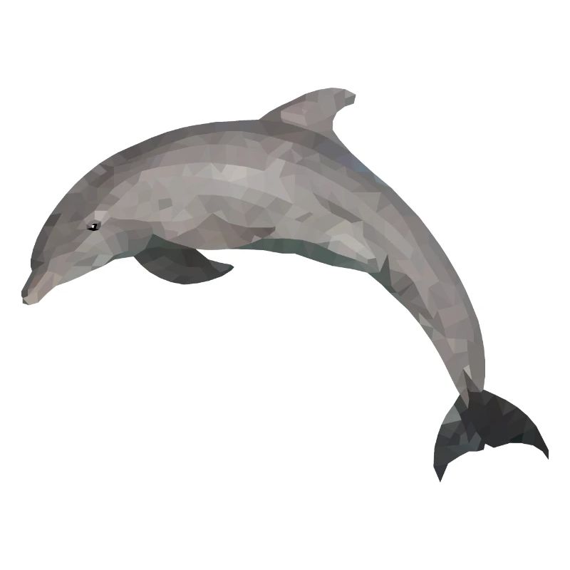 Delfin