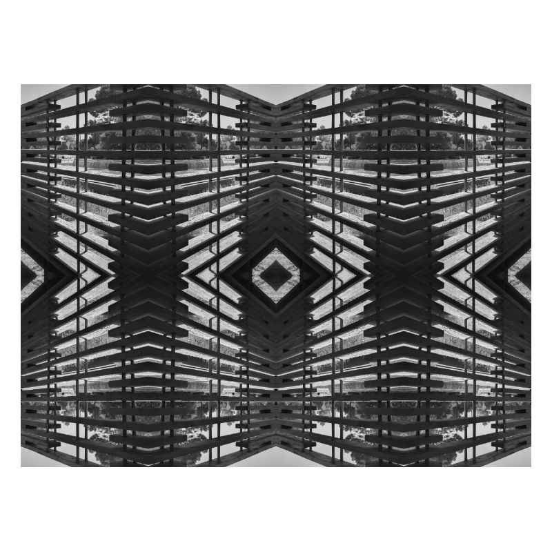 Bois abstrait V.3