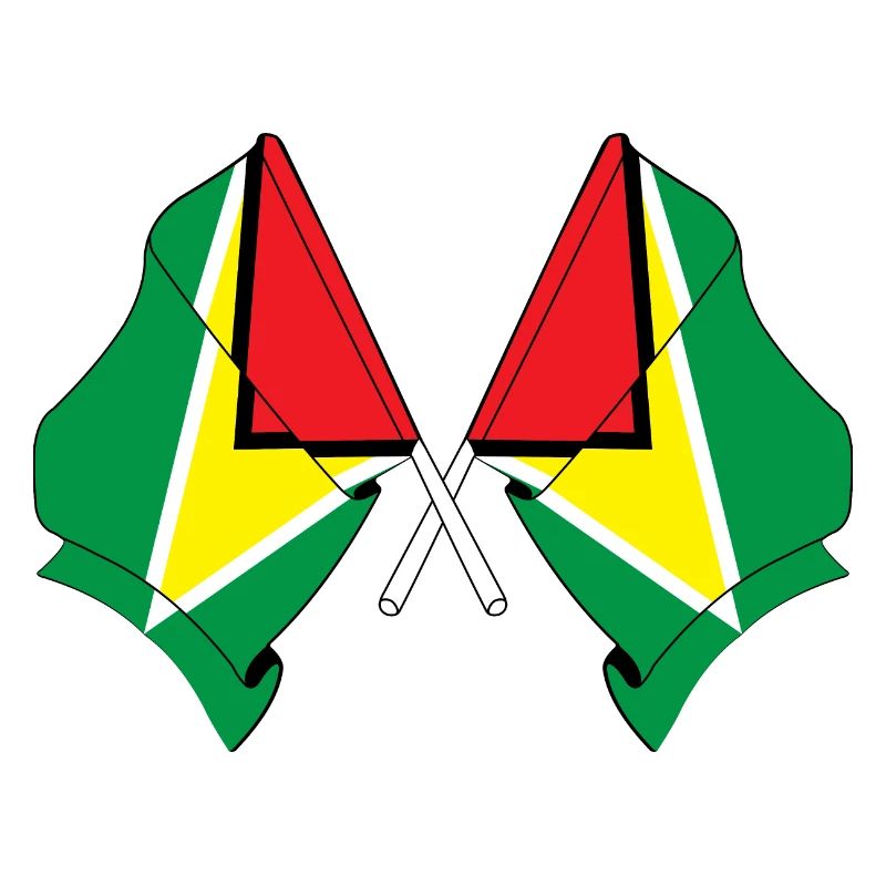 Deux drapeaux croisés de la Guyane