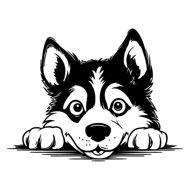 Siberian Husky