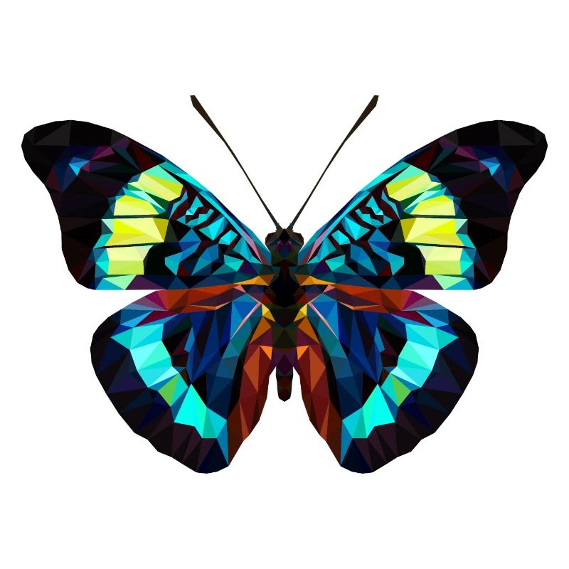 Papillon
