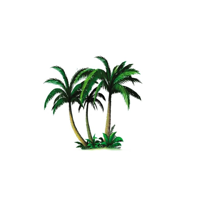 palms