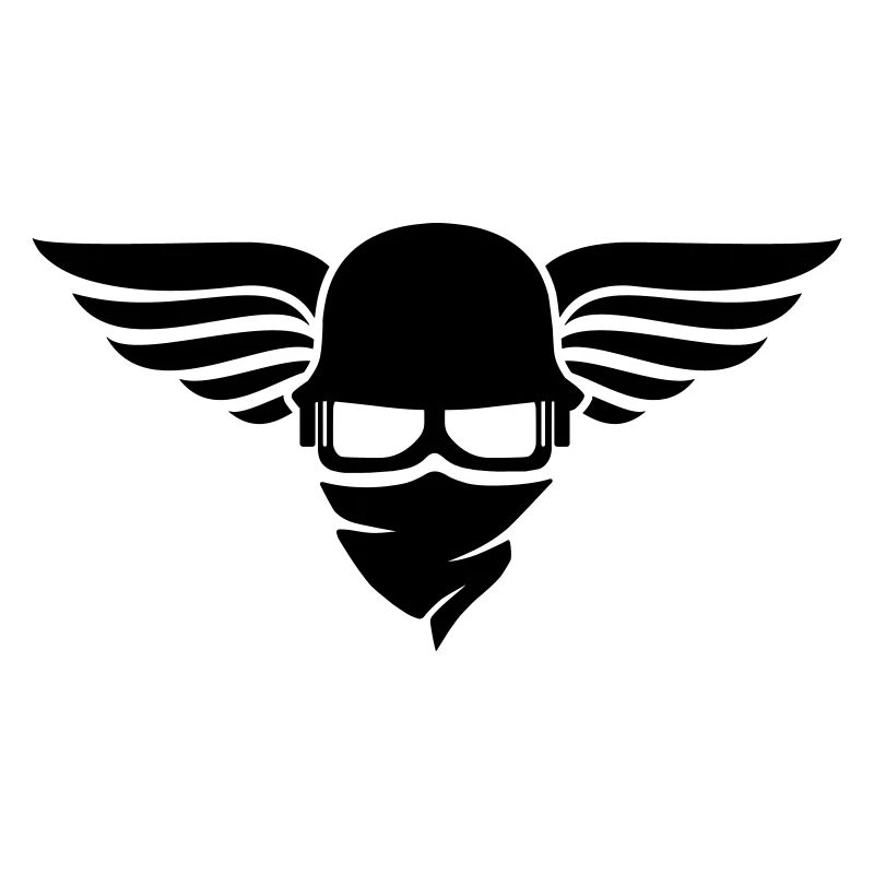 Motorcycle helmet with wing, biker helmet and biker glasses