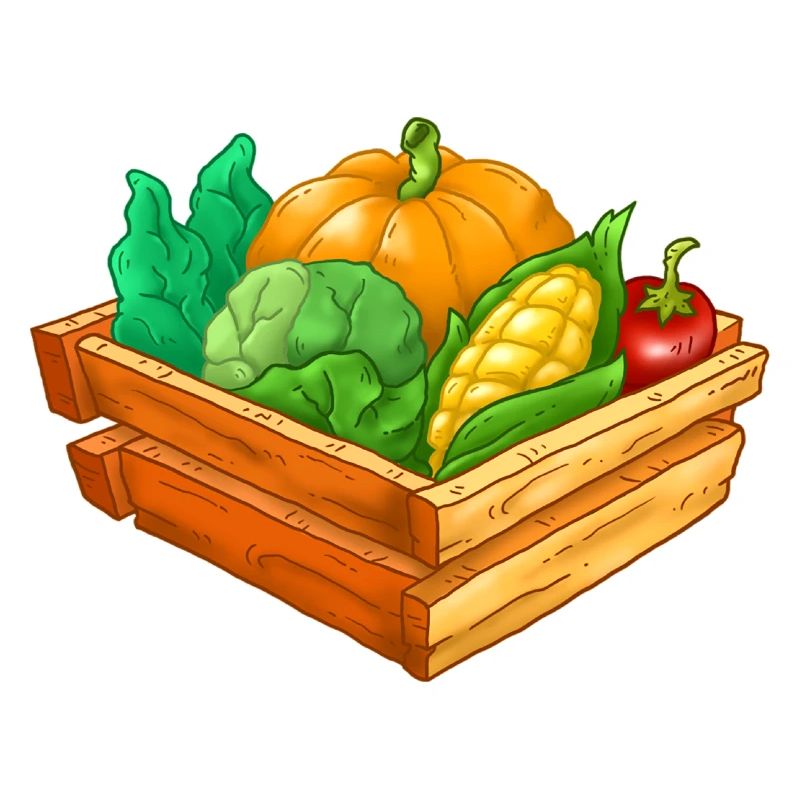 Vegetable