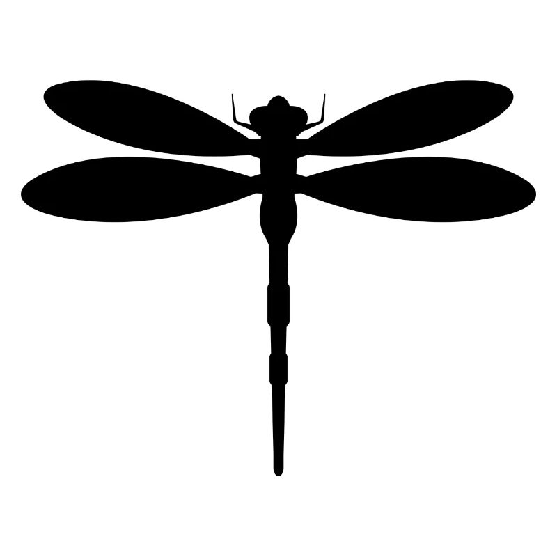 Libellule