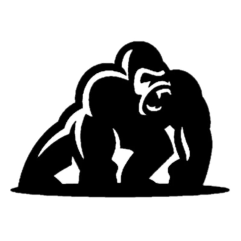Gorilla Gorille