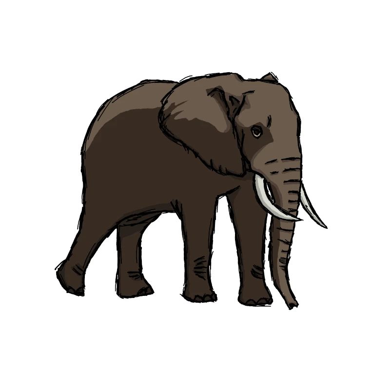 elephant