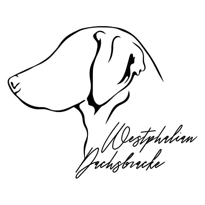 WESTPHALIEN DACHSBRACKE Profil Chiens Wilsigns