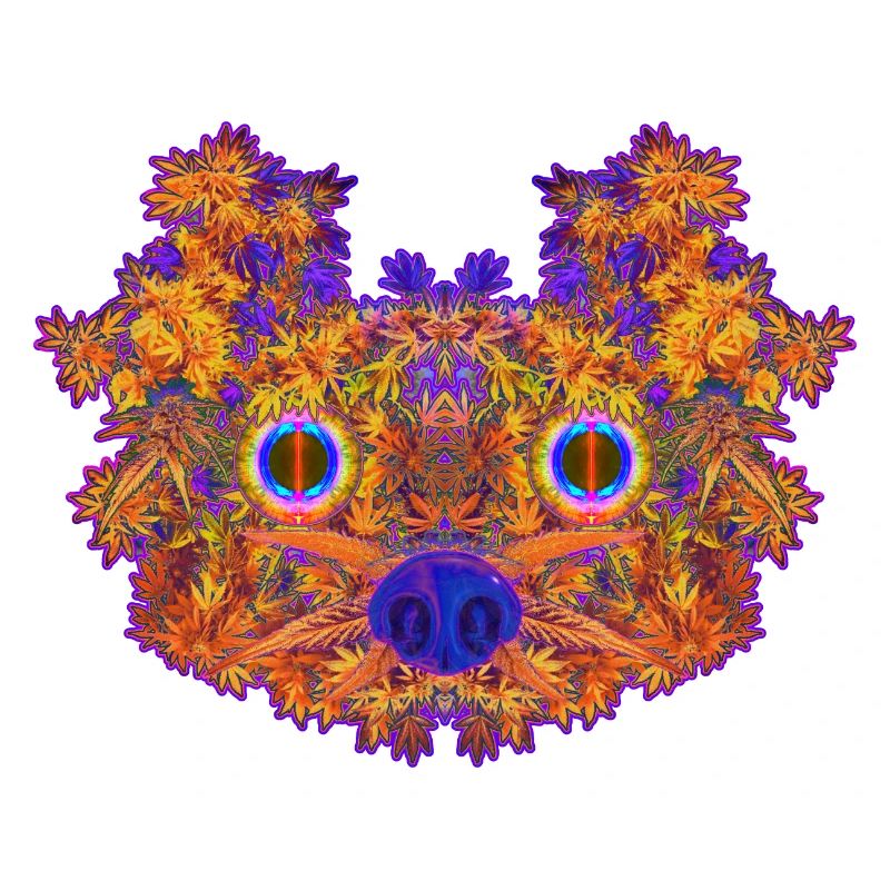 Ganjafuchs