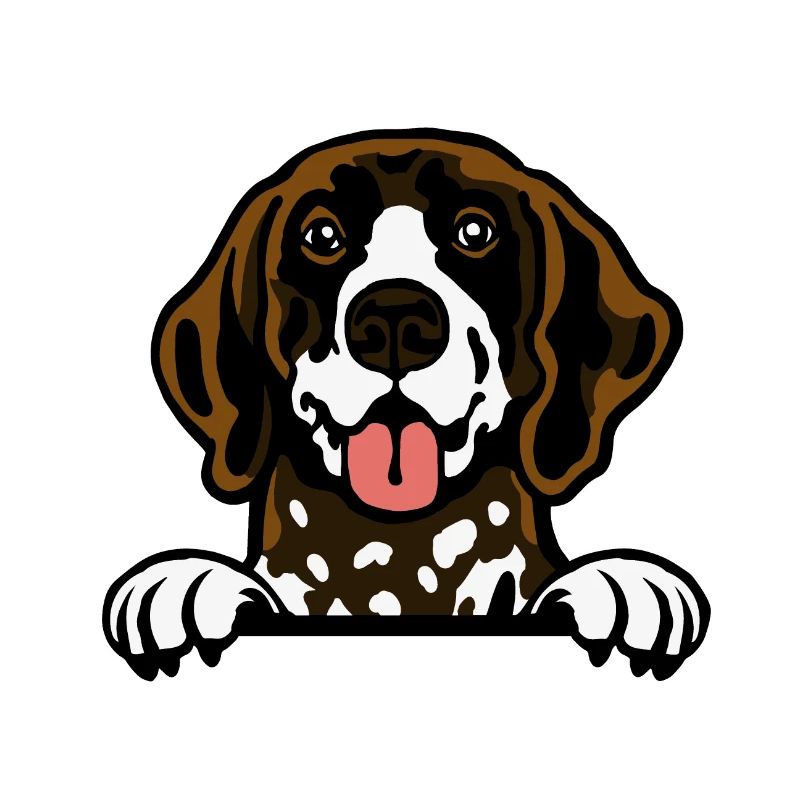 German Shorthaired Pointer Elegance