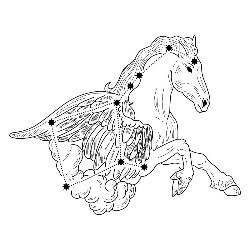 Constellation