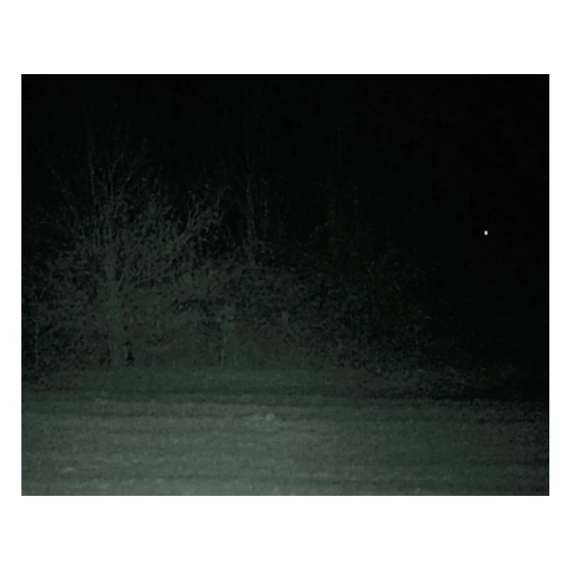Créature effrayante dans la forêt