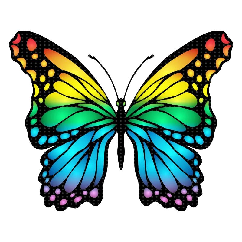 Schmetterling