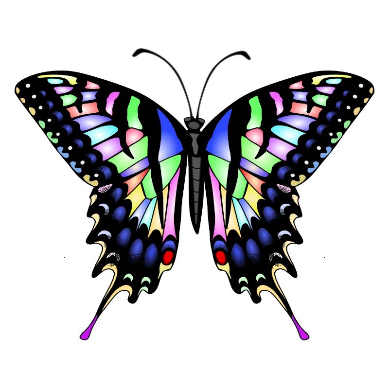 Papillon à queue d’aronde