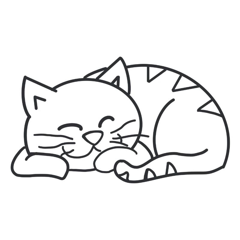 Sleeping cat