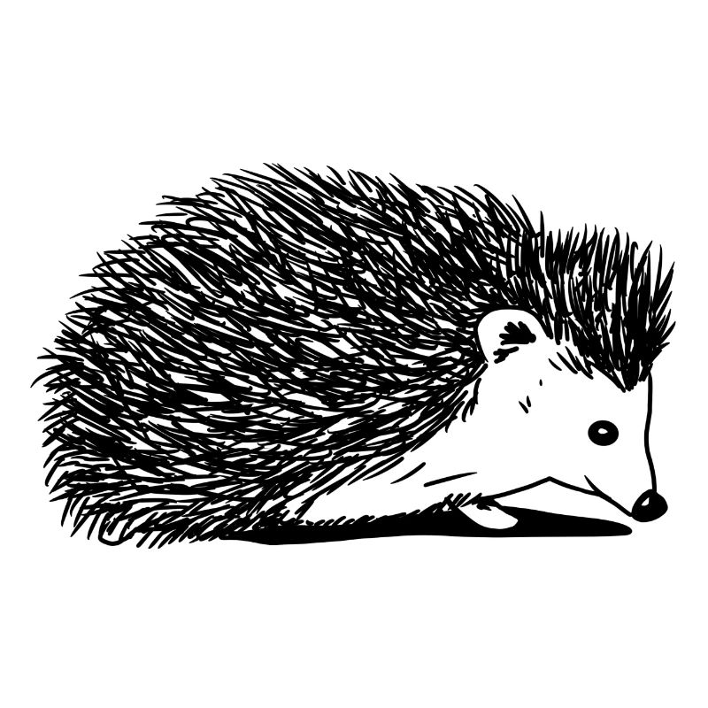 hérisson