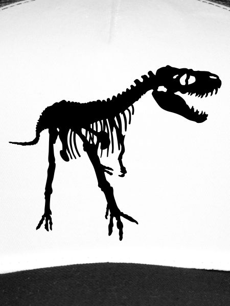 Dinosaur