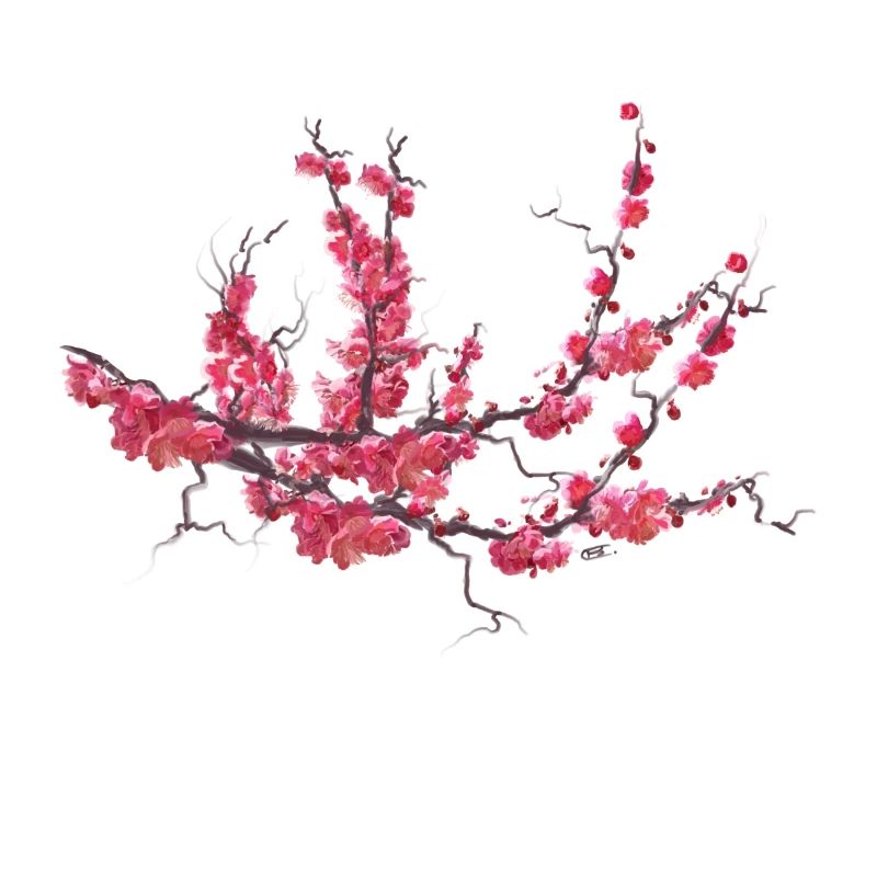 sakura