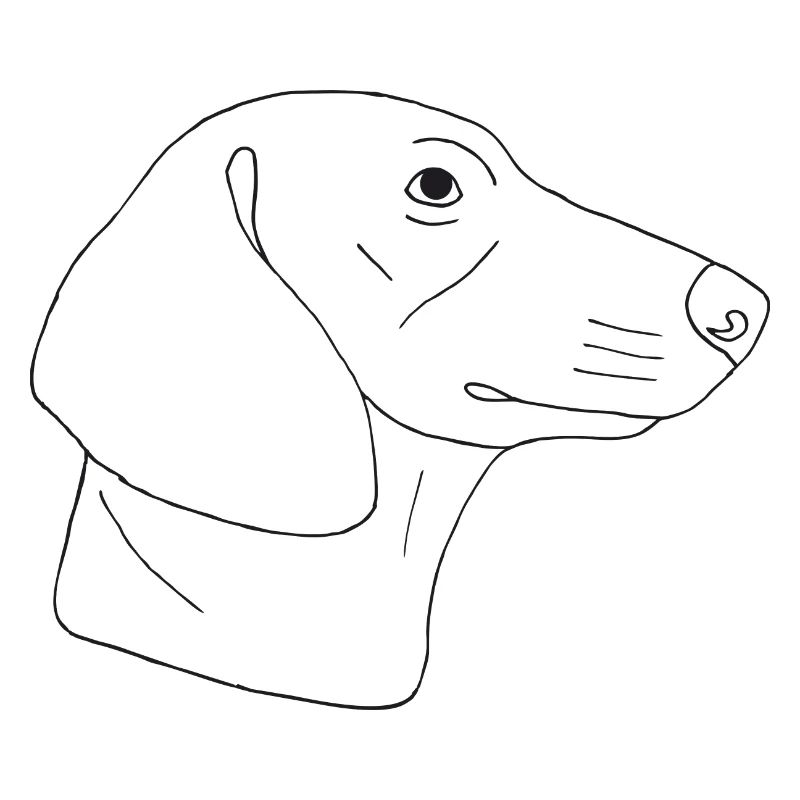 Dackel