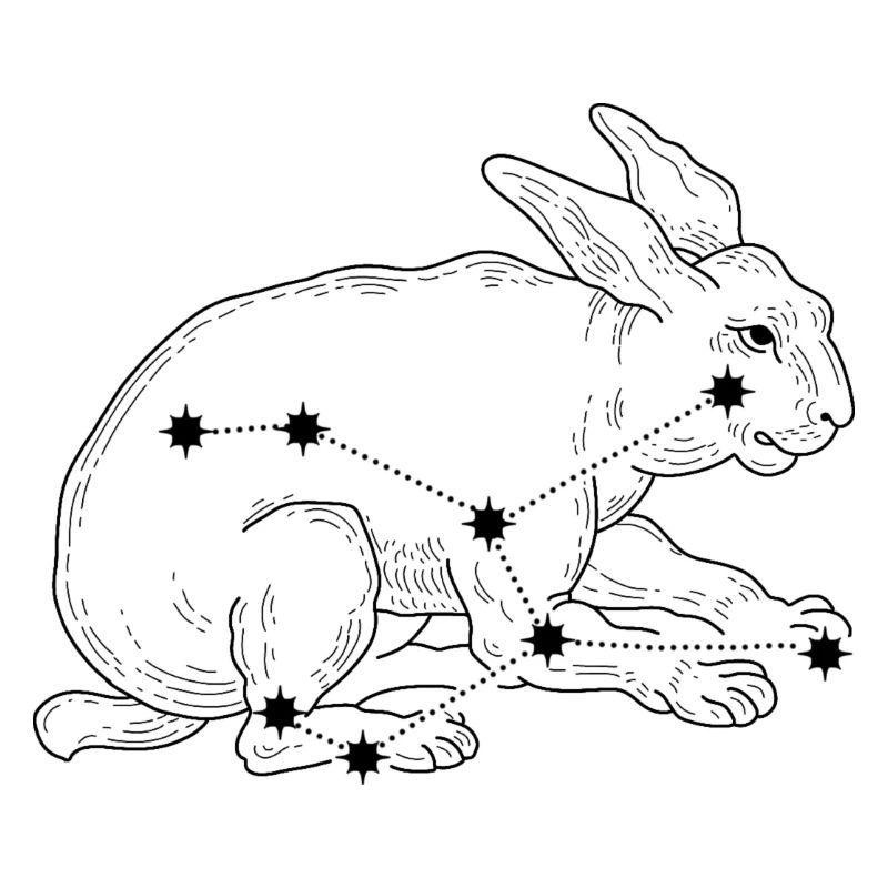 Constellation