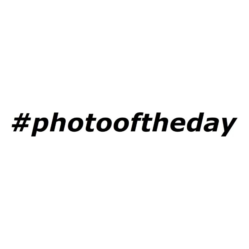 #photooftheday