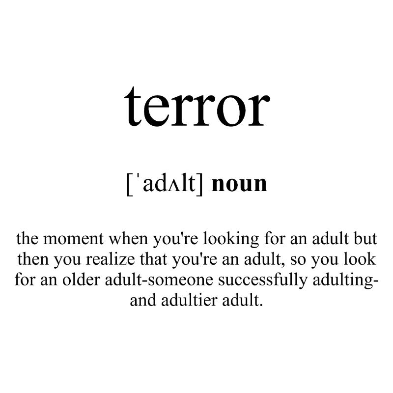 Terror Definition Dictionary