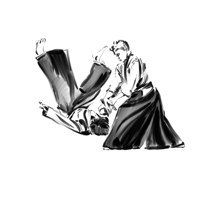 aikido