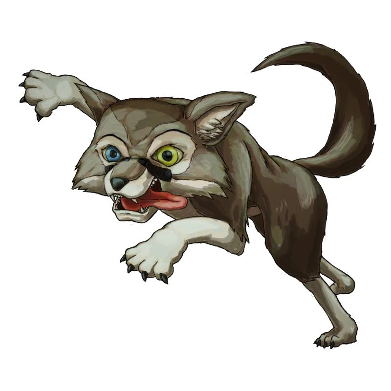 Crazy Wolf Cora