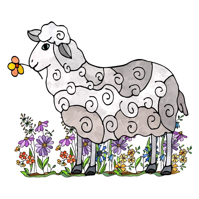 Sheep