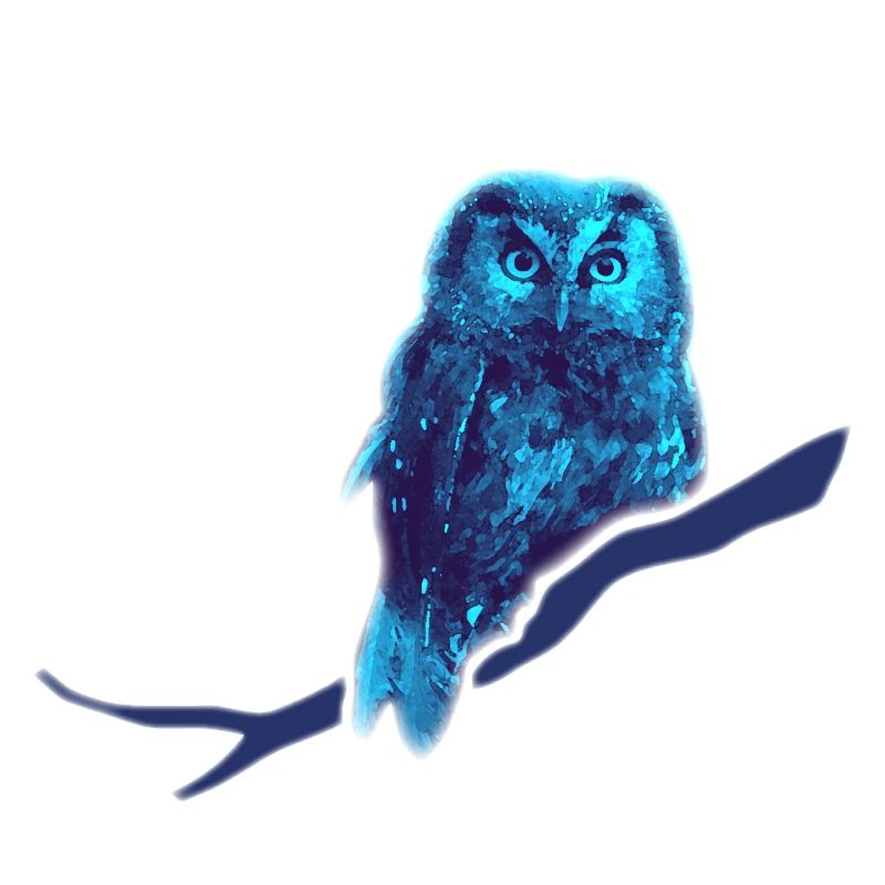 Eule kauz Uhu blau