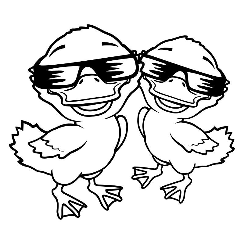 Équipe 2 canetons cool