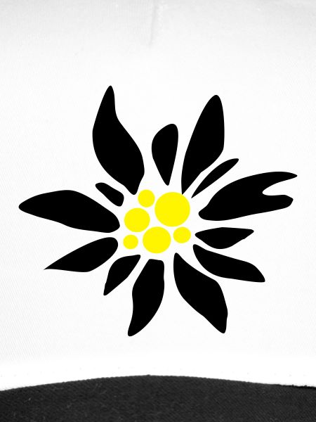 Edelweiss