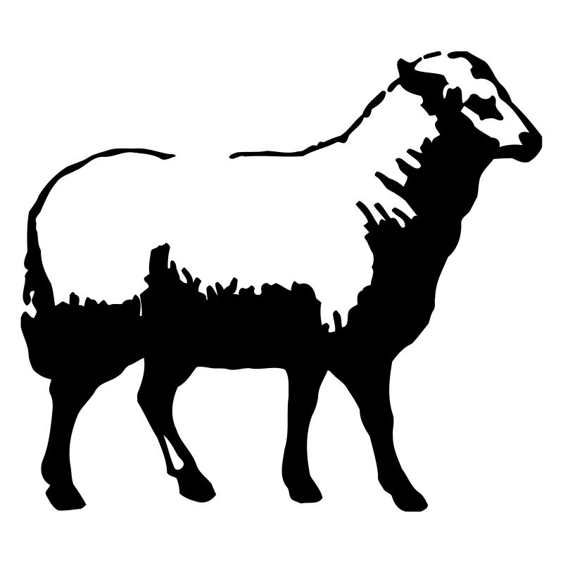 mouton