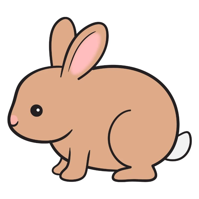 Rabbit Rabbit