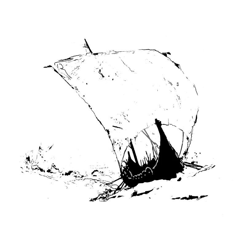 Viking Sailing