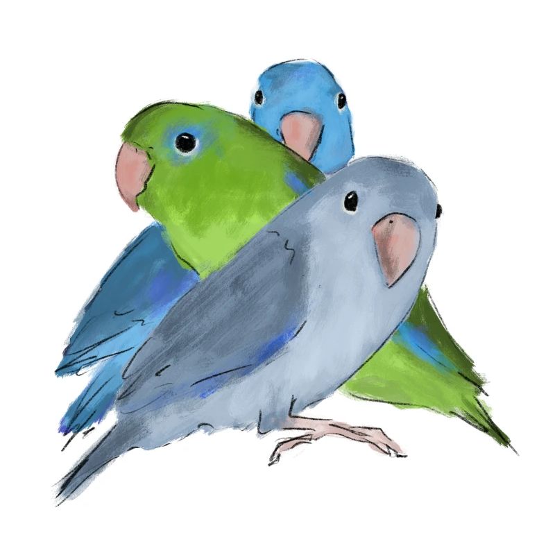 Trois perroquets perroquets