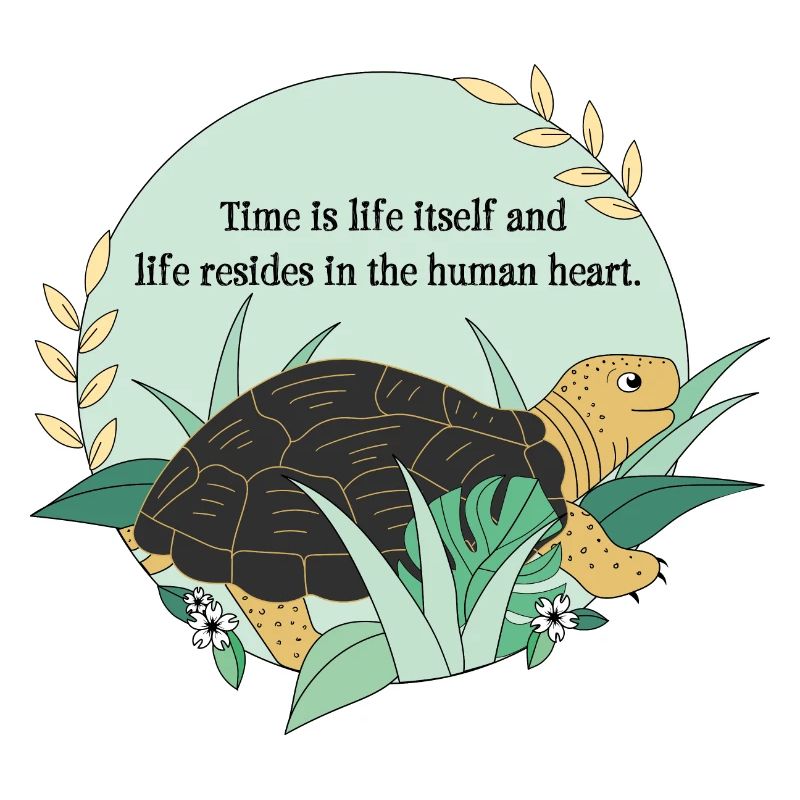 Turtle Cassiopeia