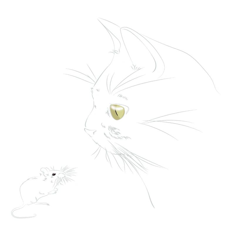 cat mouse eyes