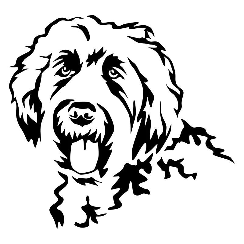 Labradoodle head