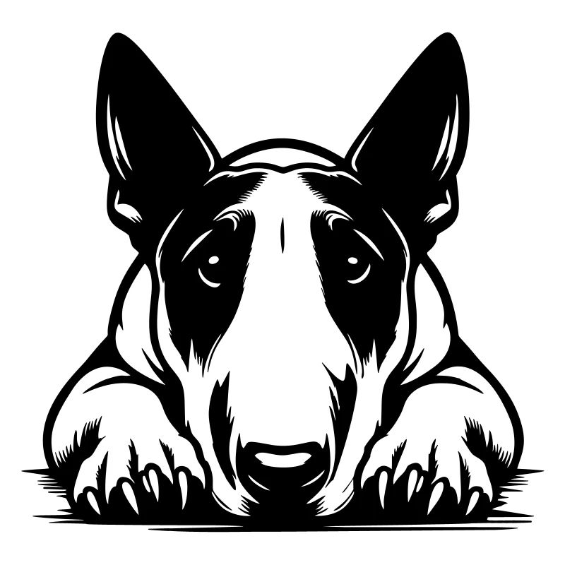 Bull Terrier Head with Paws