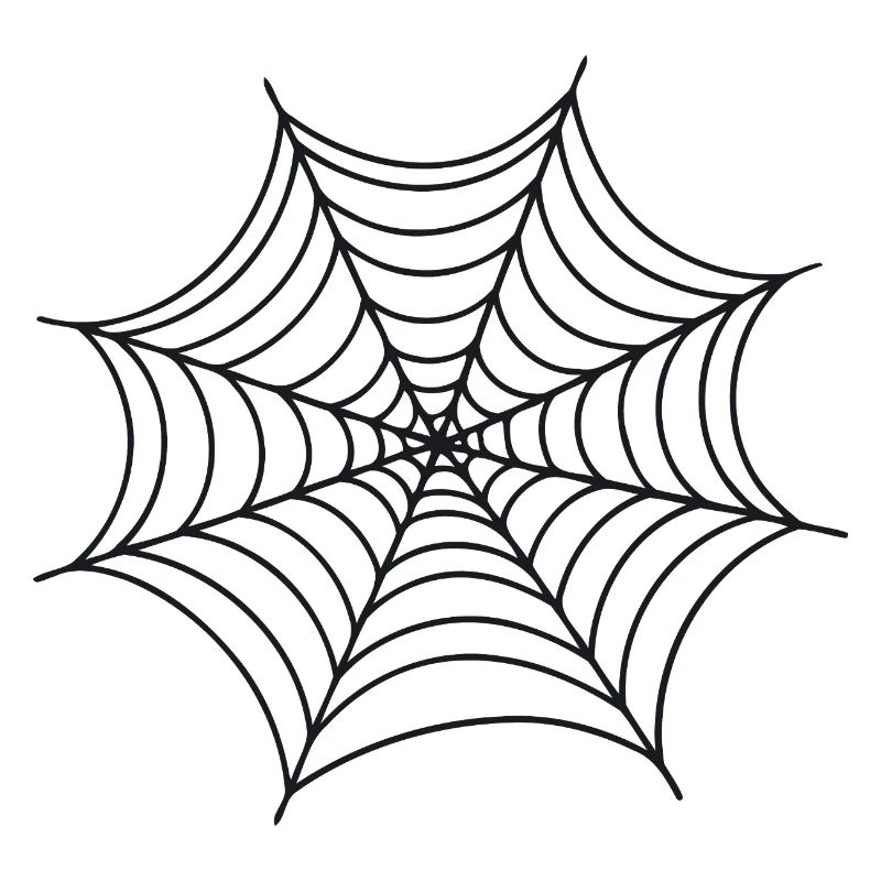 Black Minimalist Spider Web