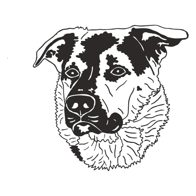 Schäferhund Mix