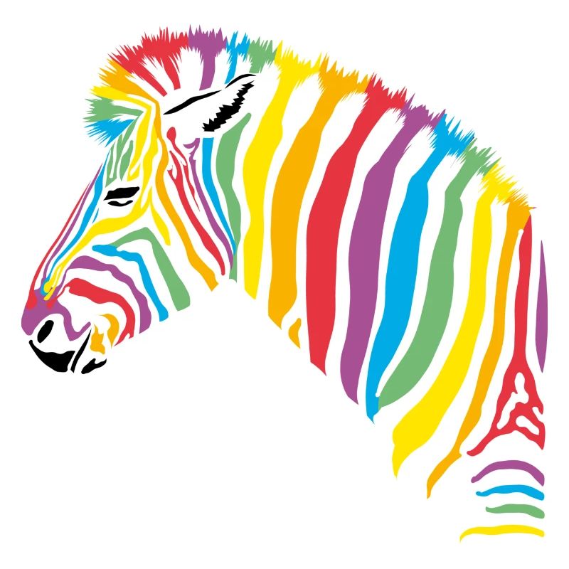 rainbow zebra