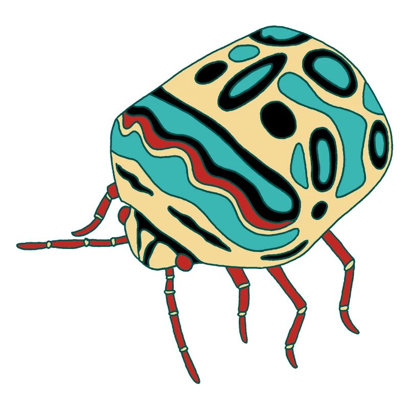 Multicolored insect