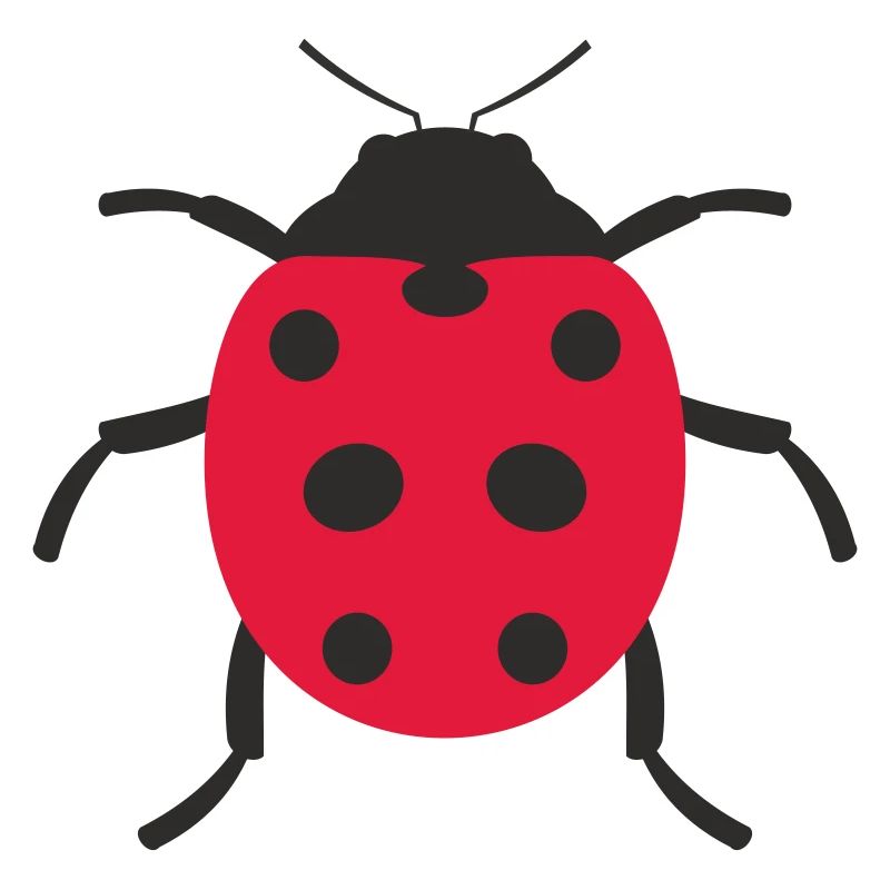 Conception de coccinelle