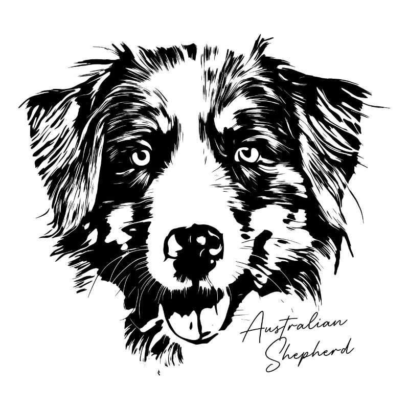 Australian Shepherd