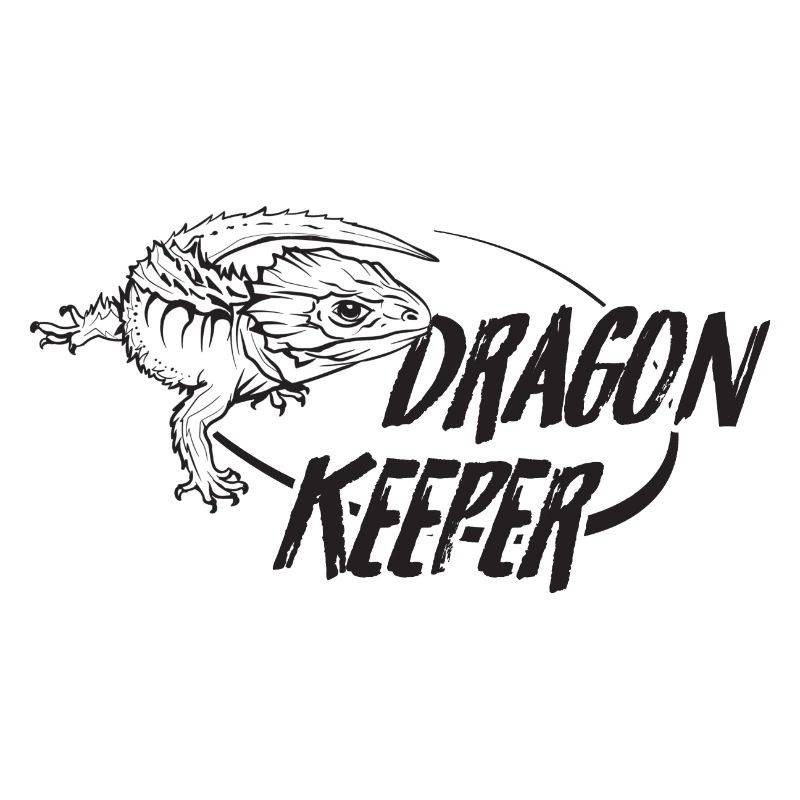 Rotäugiger Krokodil Skink Drachenhüter